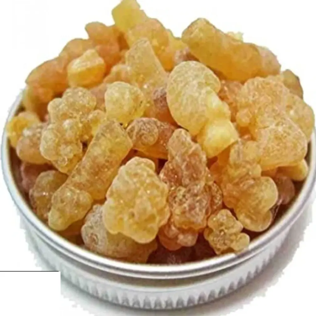 Oriental Gum - 60 gm